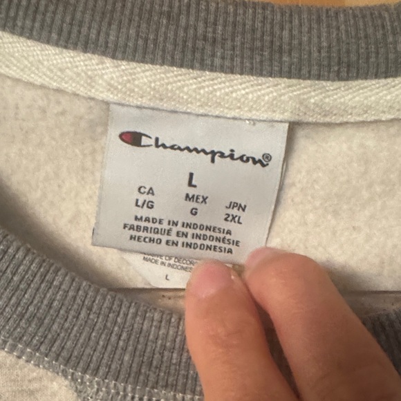 Champion Authentic Originals Men's Sueded Fleece Sweatshirt *BLACK FRIDAY SALE* - Picture 4 of 6